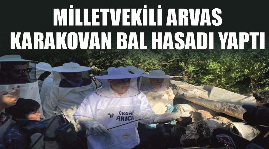 Milletvekili Arvas karakovan bal hasadı yaptı