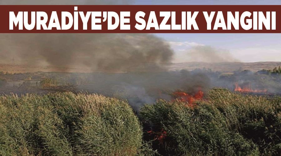 Muradiye’de sazlık yangını