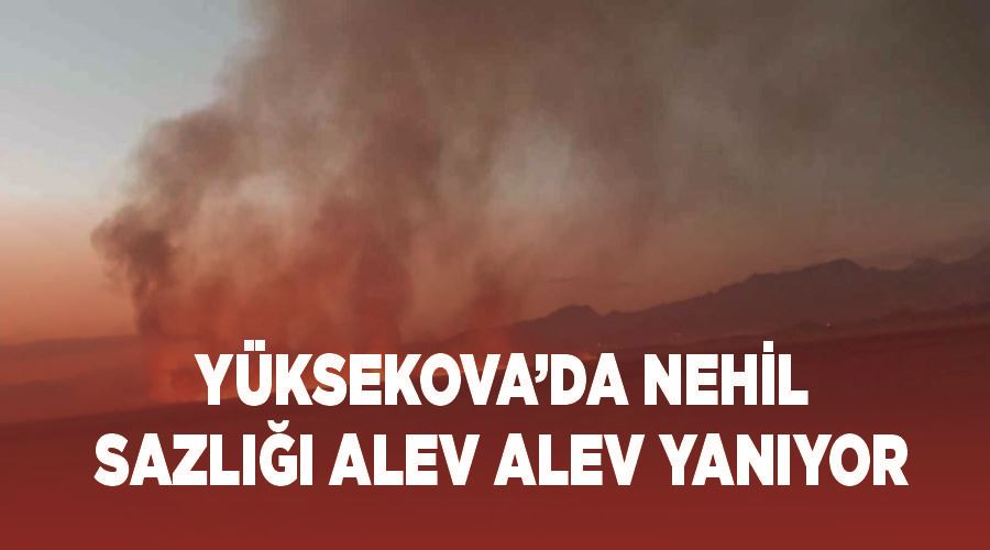 Yüksekova’da Nehil Sazlığı alev alev yanıyor