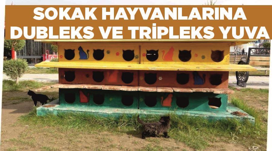 Sokak hayvanlarına dubleks ve tripleks yuva