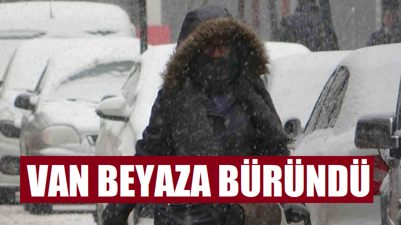 Van beyaza büründü