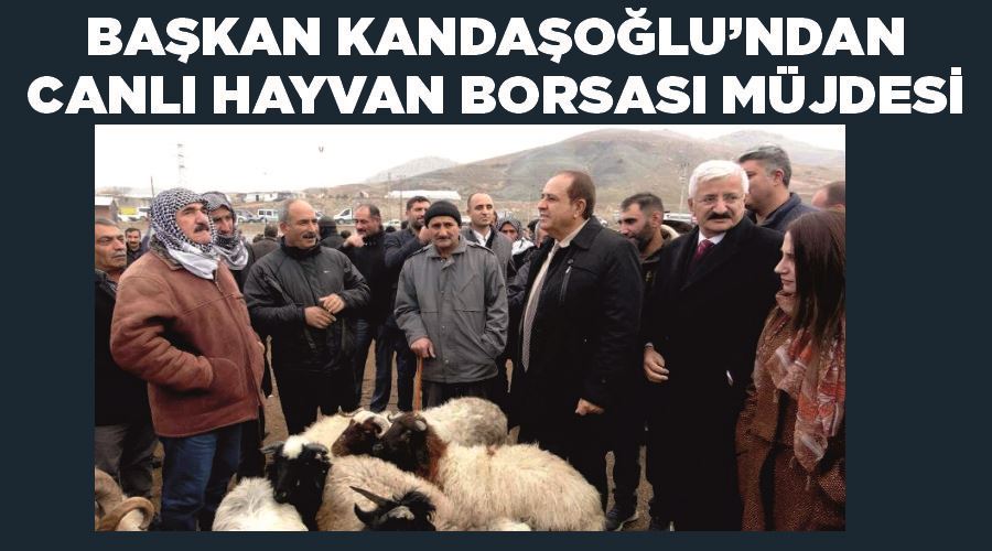 Başkan Kandaşoğlu’ndan canlı hayvan borsası müjdesi