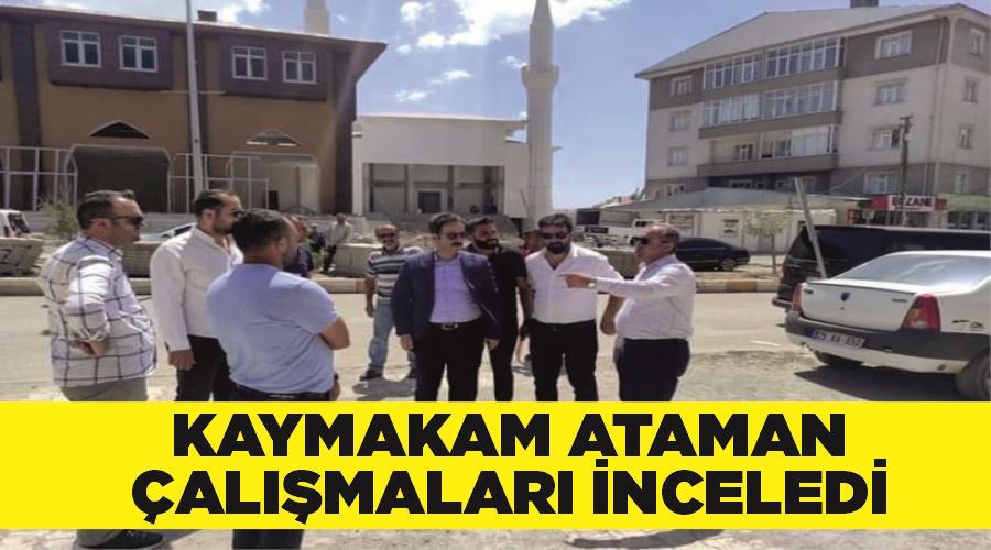 Kaymakam Ataman çalışmaları inceledi