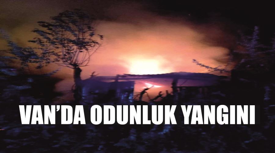 Van’da odunluk yangını