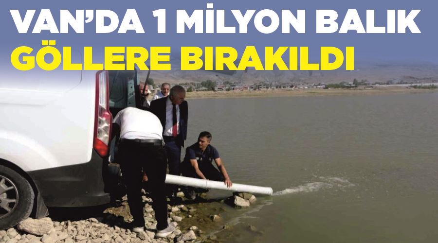 Van’da 1 milyon balık göllere bırakıldı