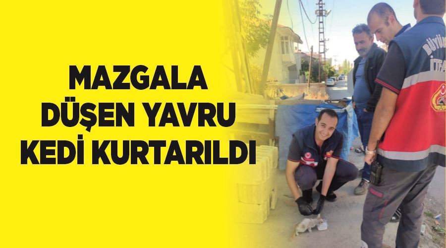 Mazgala düşen yavru kedi kurtarıldı