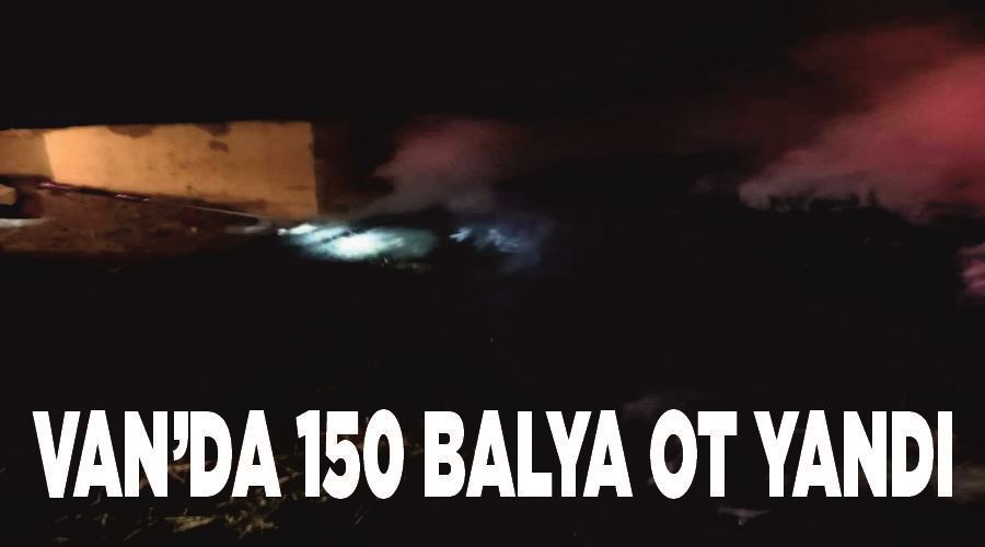 Van’da 150 balya ot yandı