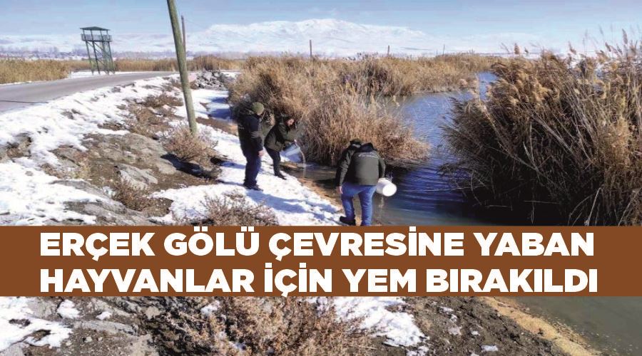 Erçek Gölü çevresine yaban hayvanlar için yem bırakıldı