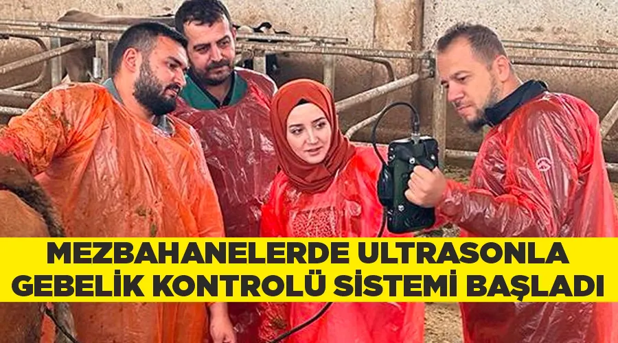 Mezbahanelerde ultrasonla gebelik kontrolü sistemi başladı