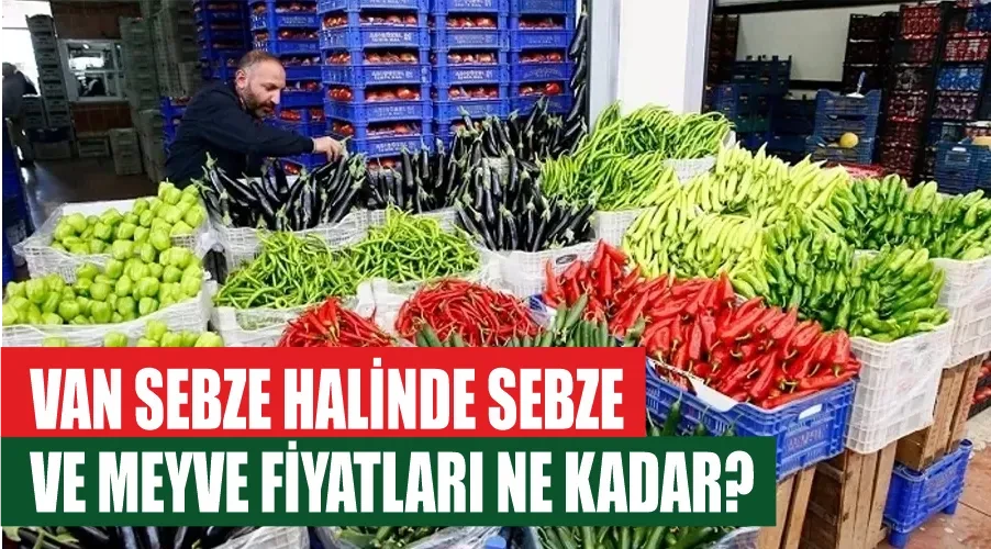 Van sebze halinde sebze ve meyve fiyatları ne kadar?