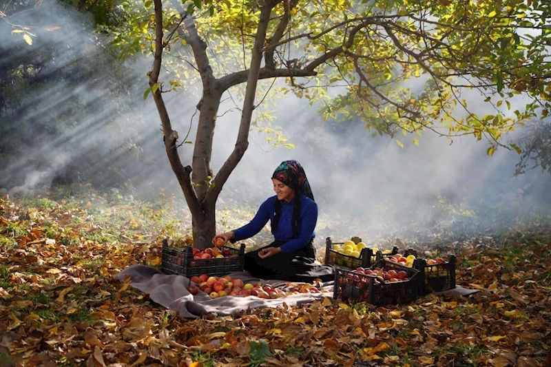 ‘Kadrajımdan Edremit Fotoğraf Yarışması’ sona erdi