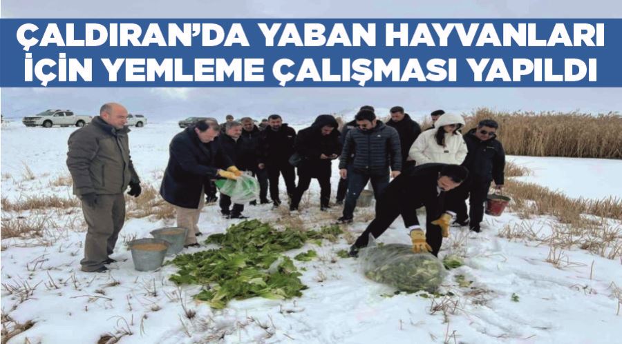 Çaldıran’da yaban hayvanları için yemleme çalışması yapıldı