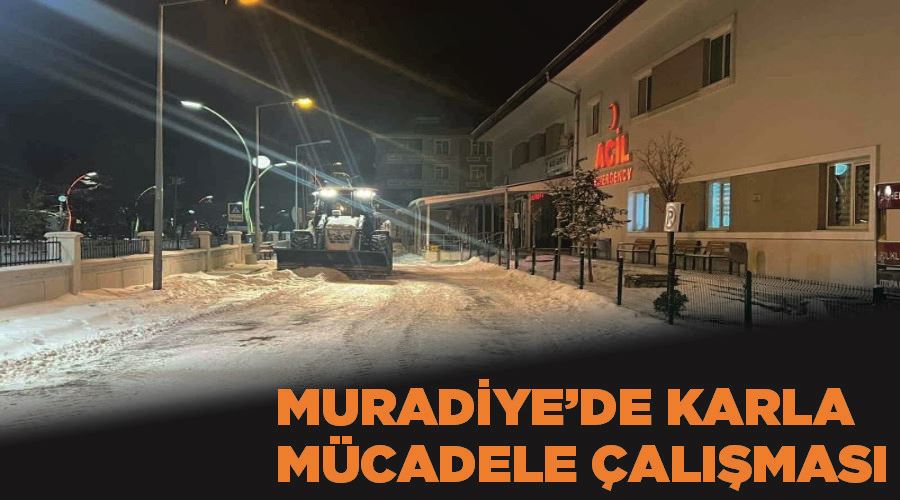 Muradiye’de karla mücadele çalışması