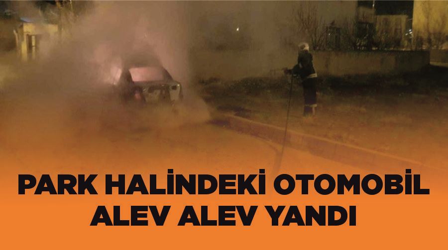 Park halindeki otomobil alev alev yandı