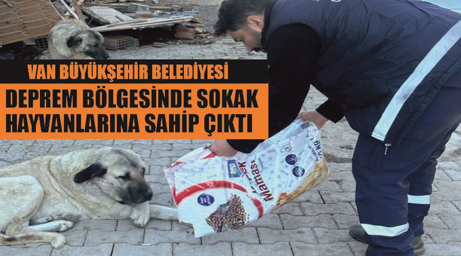 Van Büyükşehir Belediyesi deprem bölgesinde sokak hayvanlarına sahip çıktı
