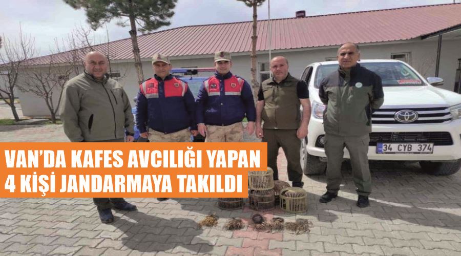 Van’da kafes avcılığı yapan 4 kişi jandarmaya takıldı