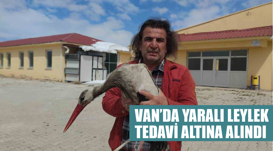 Van’da yaralı leylek tedavi altına alındı