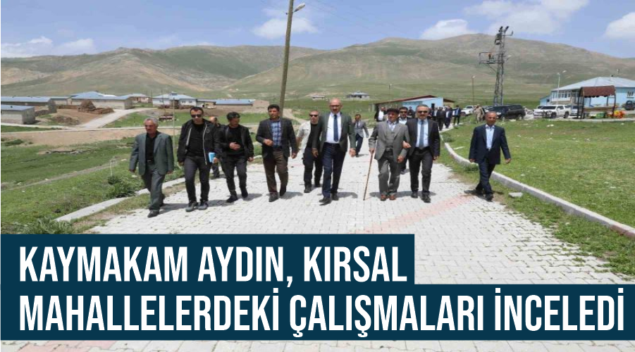 Kaymakam Aydın, kırsal mahallelerdeki çalışmaları inceledi