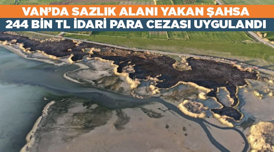 Van’da sazlık alanı yakan şahsa 244 bin TL idari para cezası uygulandı