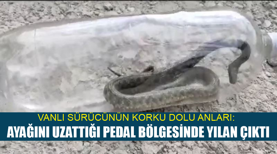 Ayağını uzattığı pedal bölgesinde yılan çıktı