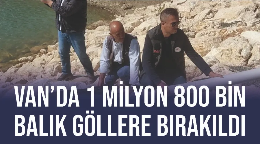 Van’da 1 milyon 800 bin balık göllere bırakıldı