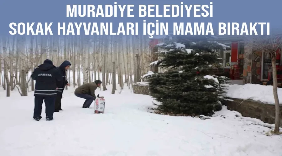 Muradiye Belediyesi sokak hayvanları için mama bıraktı