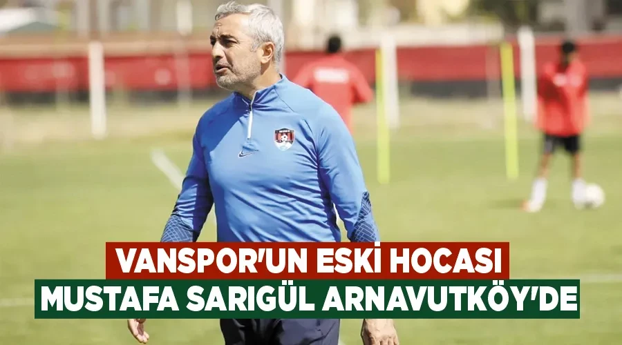 Vanspor