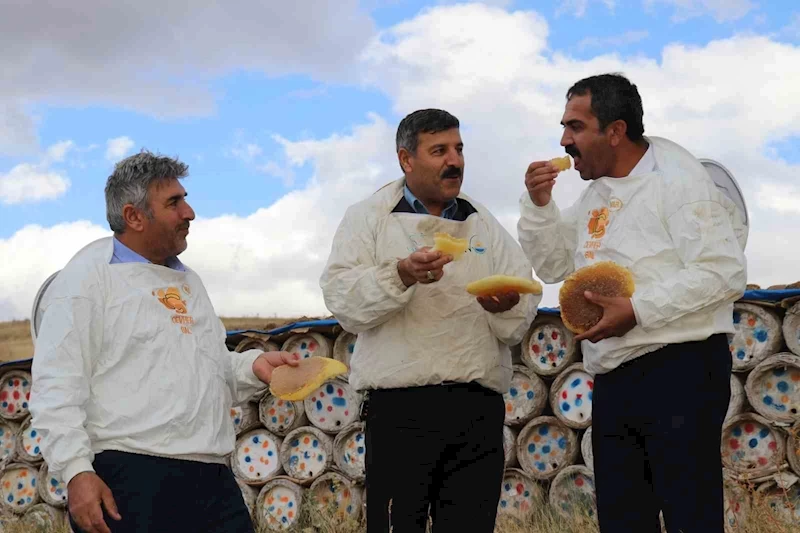 Vanlı arıcılar son yılların en verimli sezonunu yaşadı