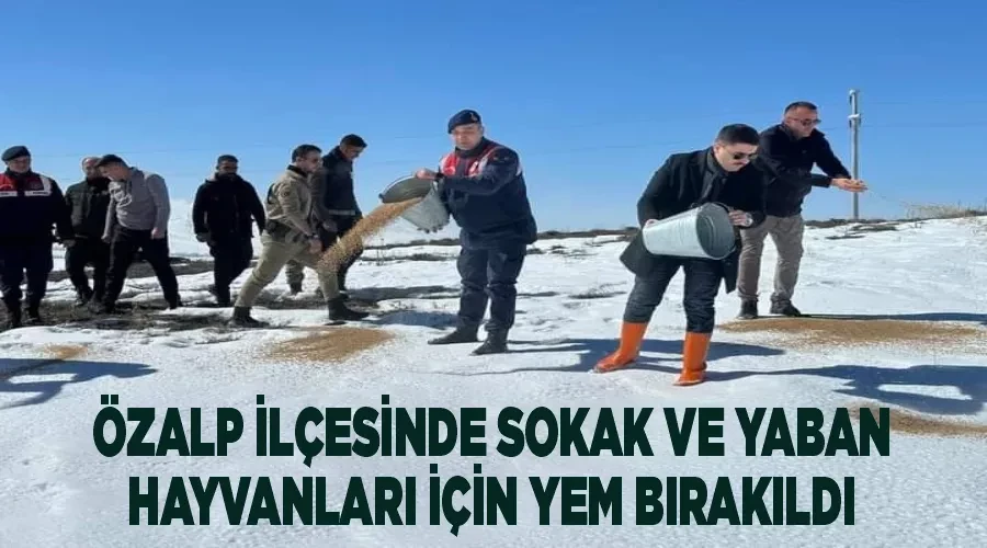 Özalp ilçesinde sokak ve yaban hayvanları için yem bırakıldı