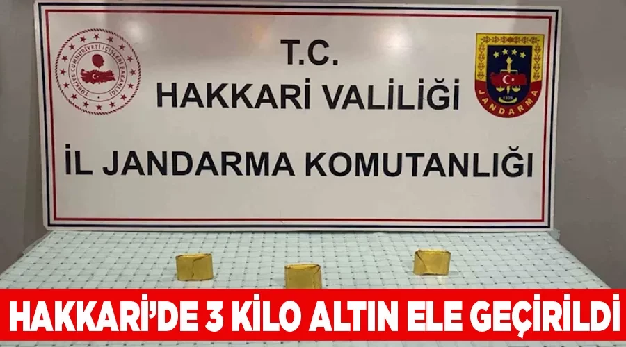 Hakkari’de 3 kilo altın ele geçirildi