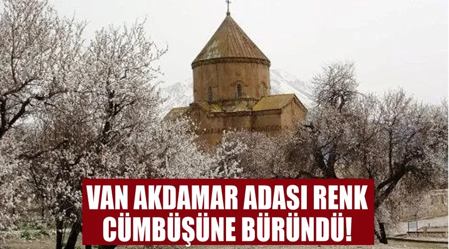 Van Akdamar Adası Renk Cümbüşüne Büründü!