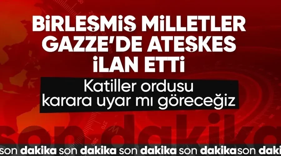 Tarihi Karar: Birleşmiş Milletler