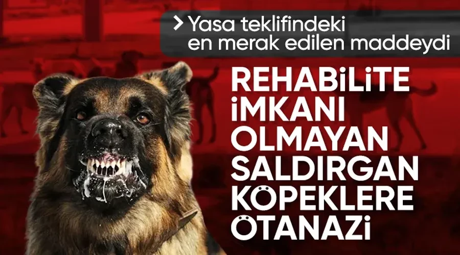 Başıboş sokak köpeği teklifi Meclis