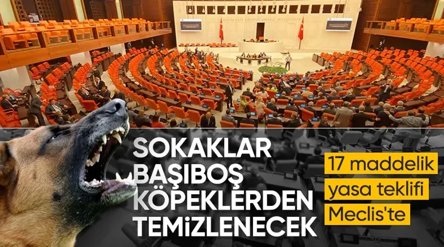 Başıboş sokak köpeklerine ilişkin teklif TBMM