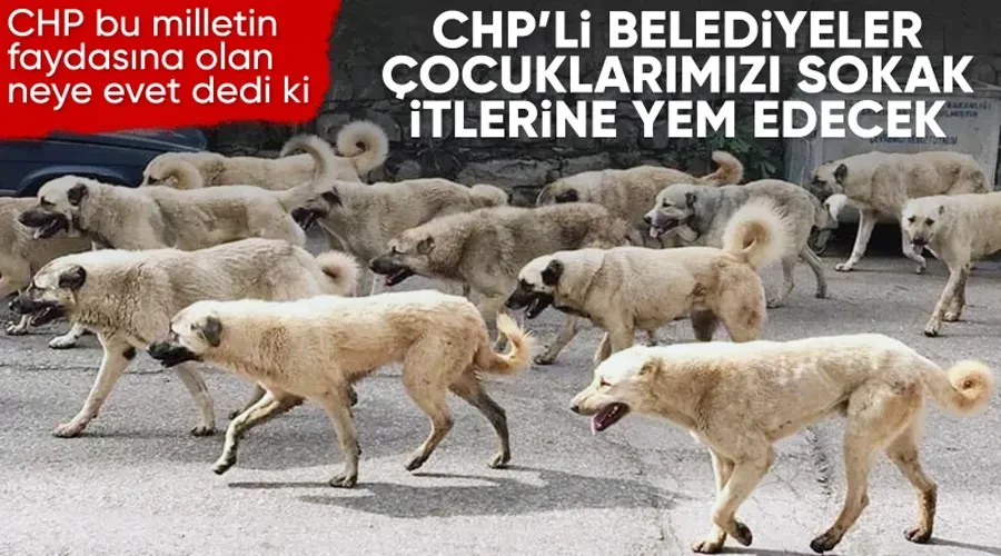 CHP