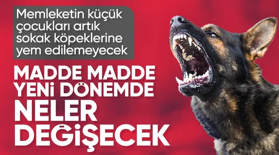 Başıboş sokak köpeği düzenlemesi TBMM