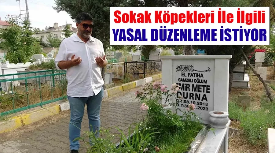 Van’da köpek saldırısında ölen minik Mete’nin ailesi ‘yasal düzenleme’ istiyor