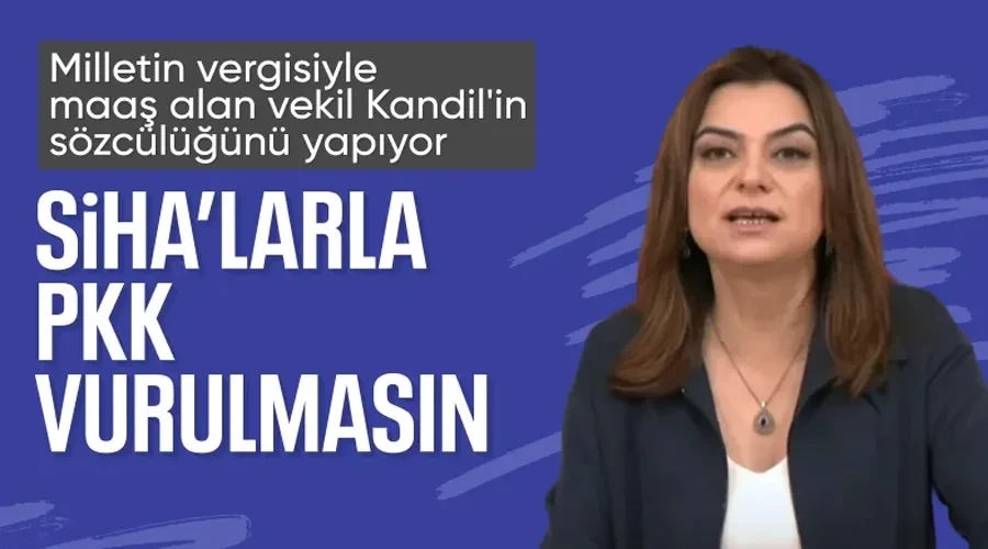 DEM Partili Milletvekili Gülistan Koçyiğit