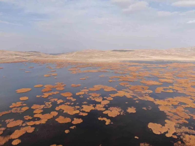 Van’da tarih ve doğa buluşması: Sonbaharın son haftasında kartpostallık manzaralar oluştu