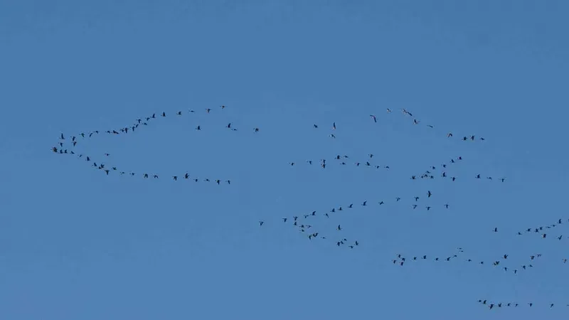 Zorlu göçün durağı Erçek Gölü