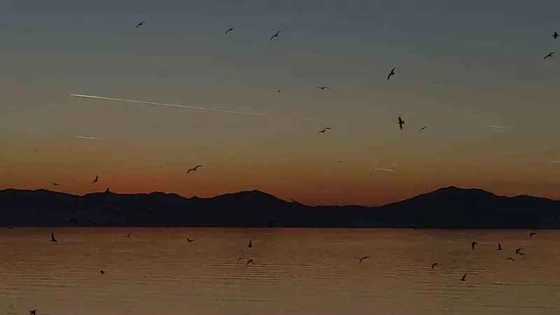 Van semalarında kartpostallık akşam: Uçaklar, kuşlar ve kızıl günbatımı büyüledi