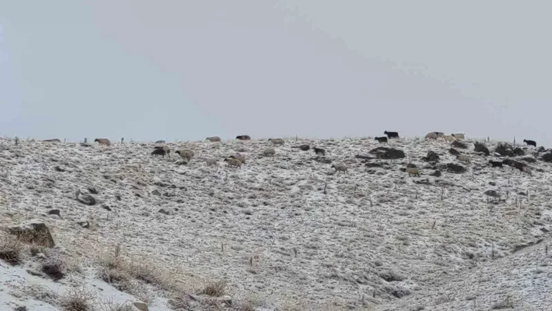 Van’da kış yüzünü gösterdi: Erek Dağı ve çevresi beyaza büründü