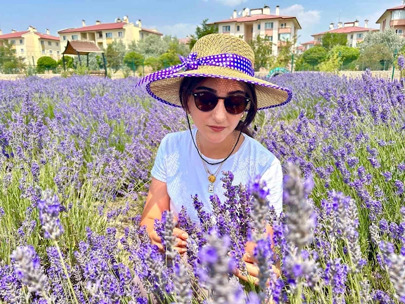 Van YYÜ’de 10 yılda 300 tür bitki yetiştirildi