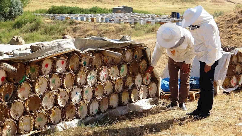 Küresel ısınma Van