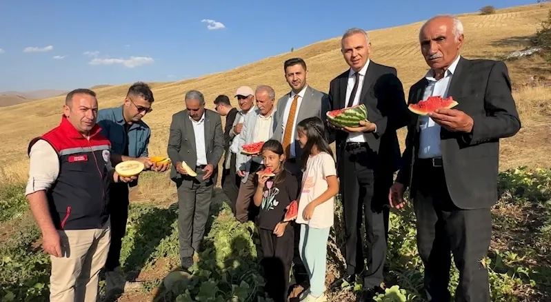Yüksekova’da mısır, karpuz ve kavun hasadı yapıldı