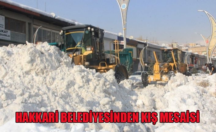 Hakkari Belediyesinden kış mesaisi