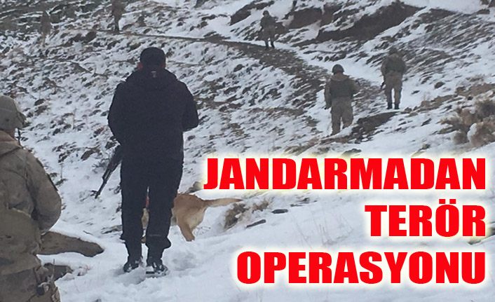 Jandarmadan terör operasyonu