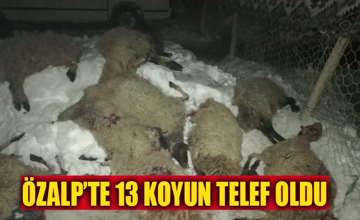 Özalp’te çıkan yangında 13 koyun telef oldu