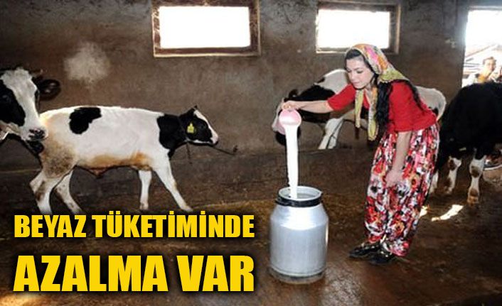 Beyaz tüketiminde azalma var