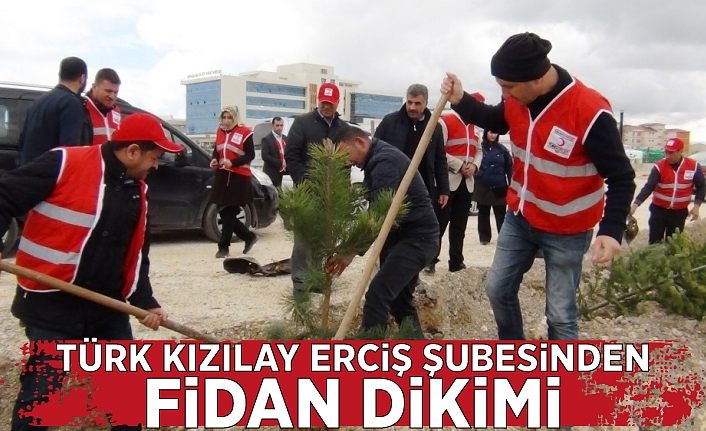 Türk Kızılay Erciş şubesinden fidan dikimi